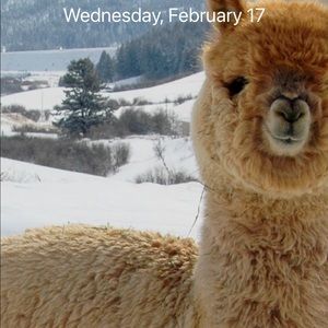 Meet your Posher, Julian